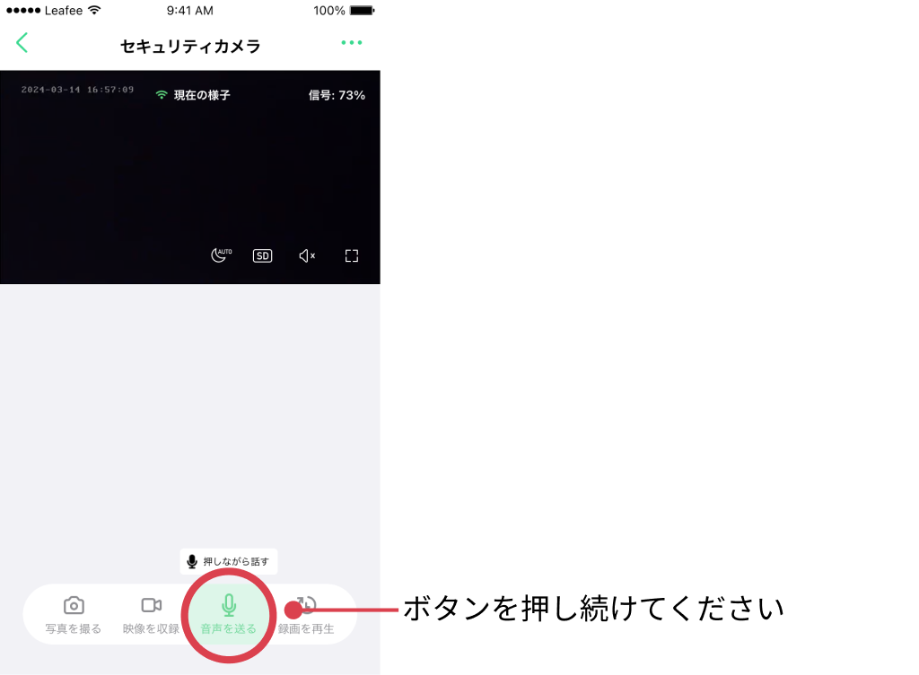 Frame 12.png