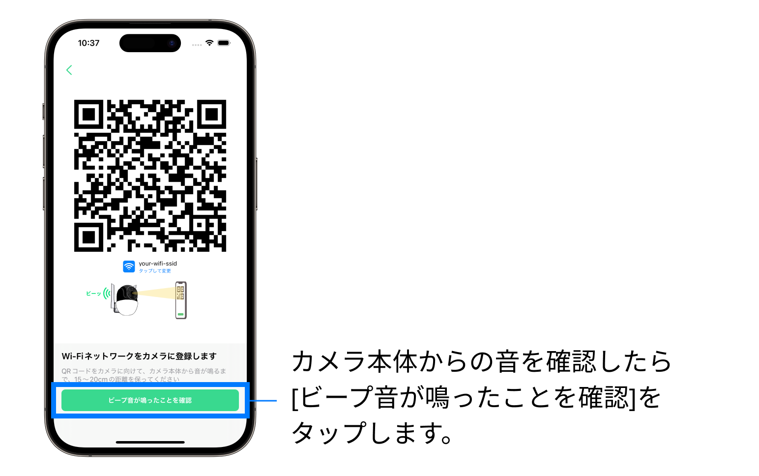 45059594961305-5.png
